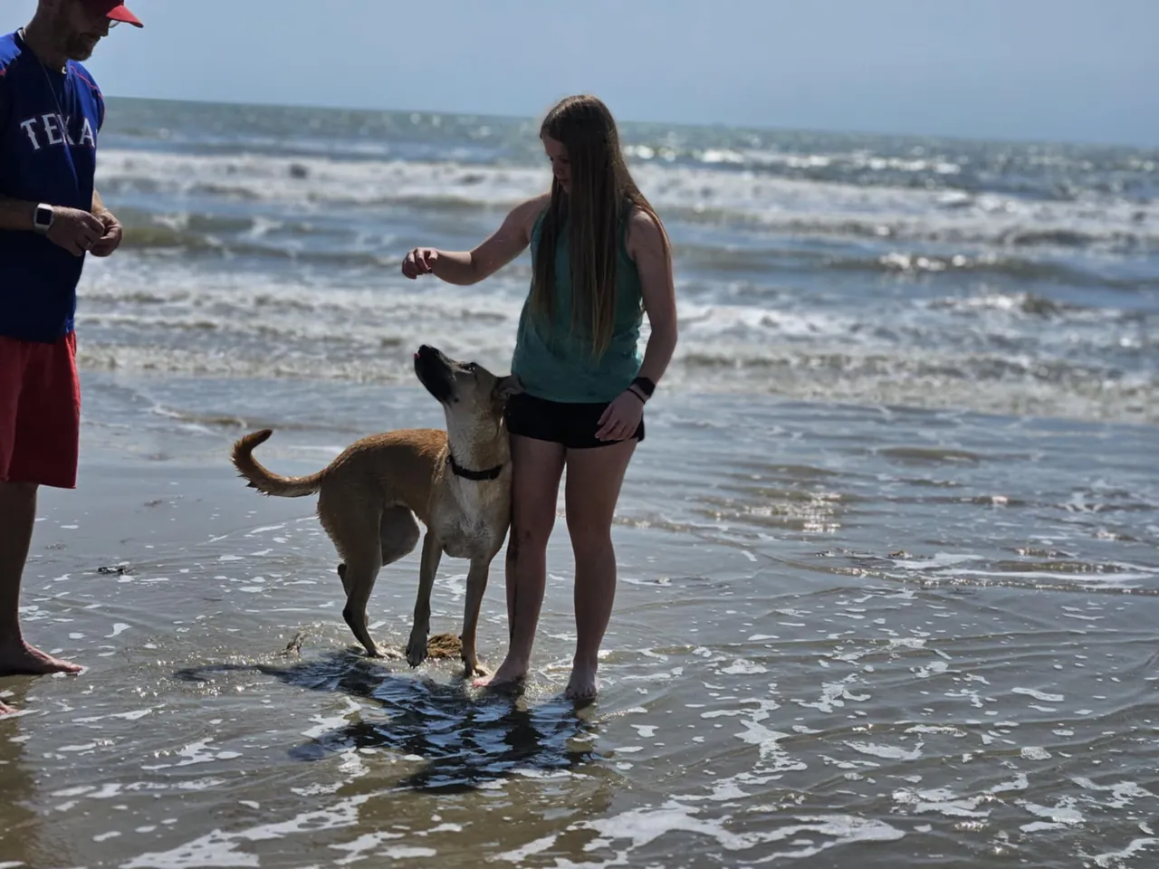 Trainer and dog wading together in the ocean surf
