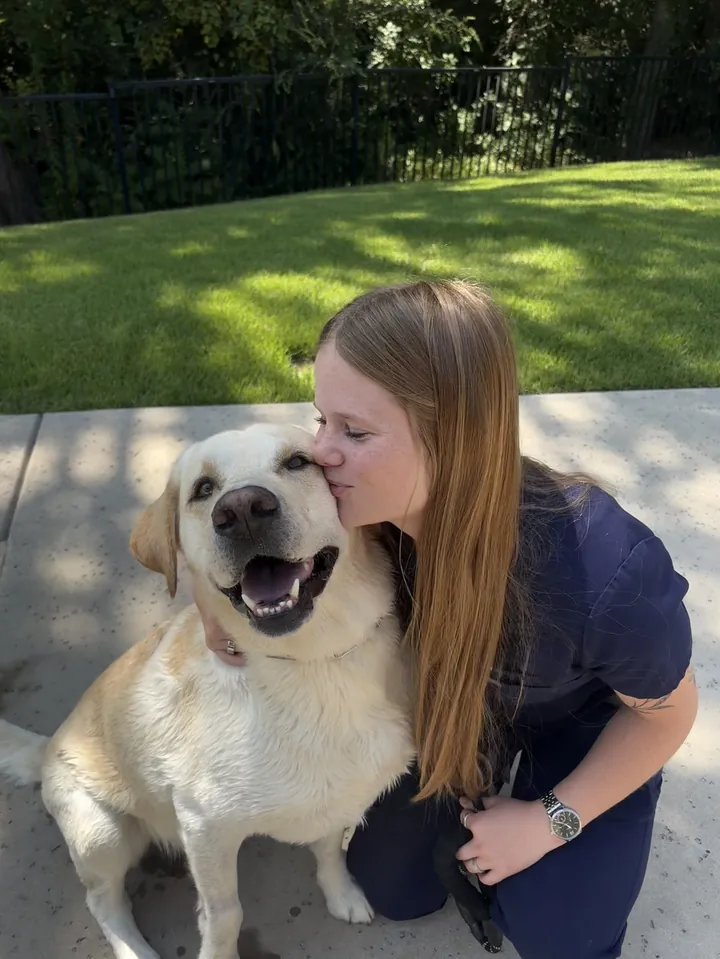 Trainer kissing a smiling yellow Labrador on a patio